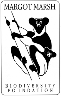 Margot Fundation